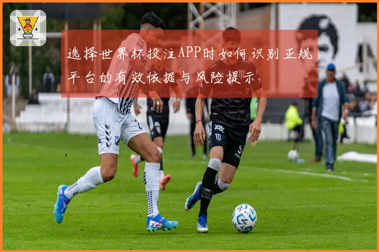 选择世界杯投注APP时如何识别正规平台的有效依据与风险提示