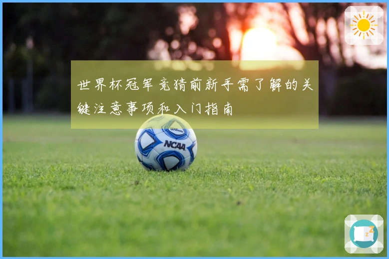 世界杯冠军竞猜前新手需了解的关键注意事项和入门指南