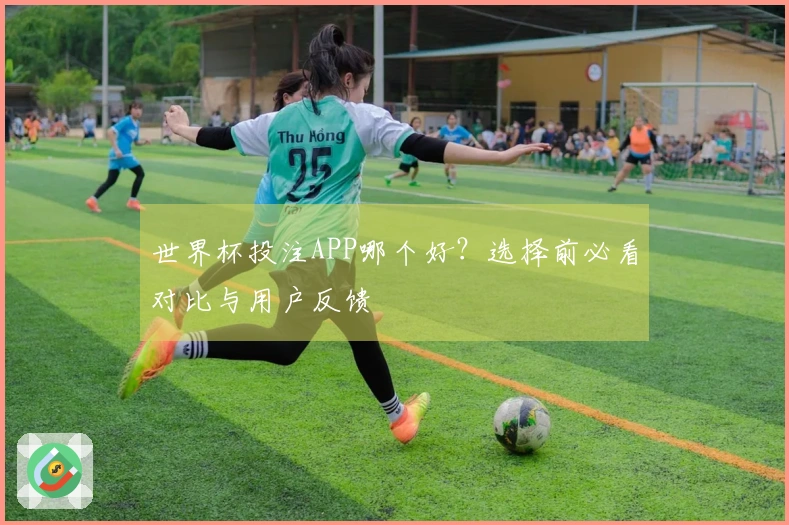 世界杯投注APP哪个好？选择前必看对比与用户反馈